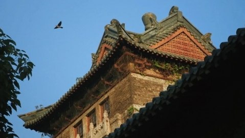 南京大學-荷蘭馬斯特里赫特大學EMBA